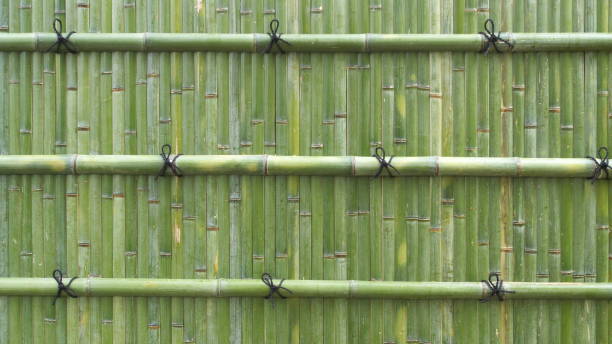 istock Japanese fresh green bamboo wall 1167503360