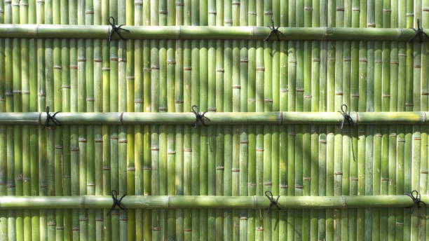 istock Japanese fresh green bamboo wall 1167503409