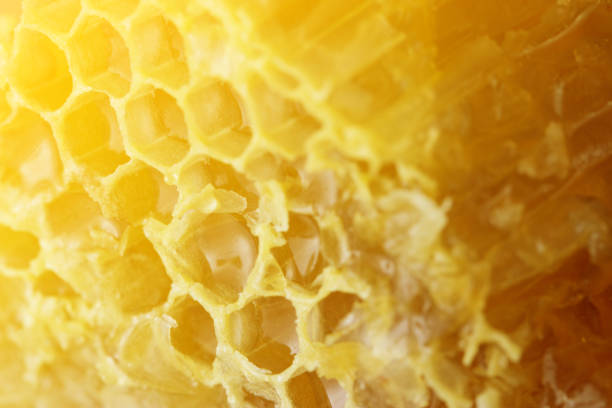 istock Close up of Honeycomb 1167503432