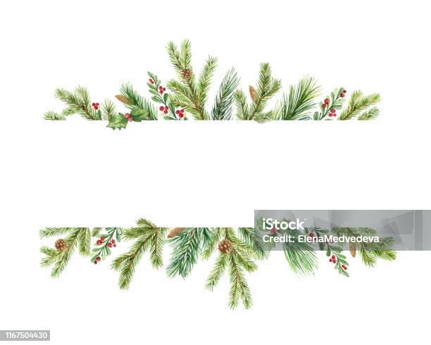 Akvarell Vektor Jul Banner Med Gröna Tall Grenar Och Plats För Text-vektorgrafik och fler bilder på Jul