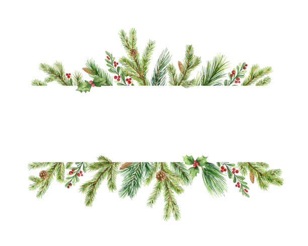 Watercolor vector Christmas banner with green pine branches and place for text. Watercolor vector Christmas banner with green pine branches and place for text. Holiday decoration for greeting cards, poster template and invitations isolated on white background. branch plant part illustrations stock illustrations