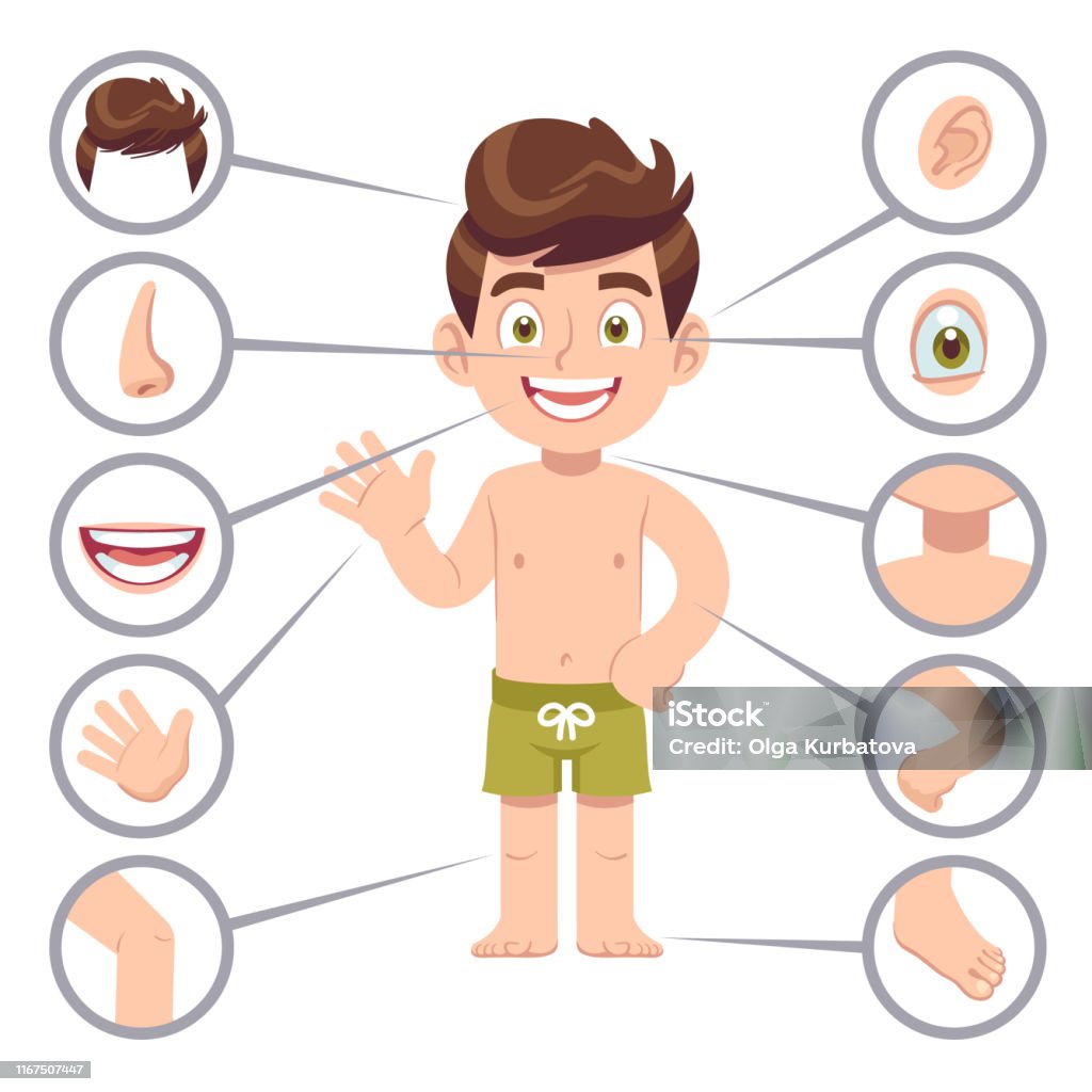 Kid Body Parts Human Child Boy With Eye Nose And Chest Head Knee Legs And  Arms Cartoon Preschool Education Vector Illustration Stock Illustration -  Download Image Now - iStock