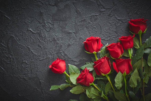roses rouges sur un fond noir, texturé, en pierre. lieu pour le texte, vue du haut - new life death cemetery flower photos et images de collection