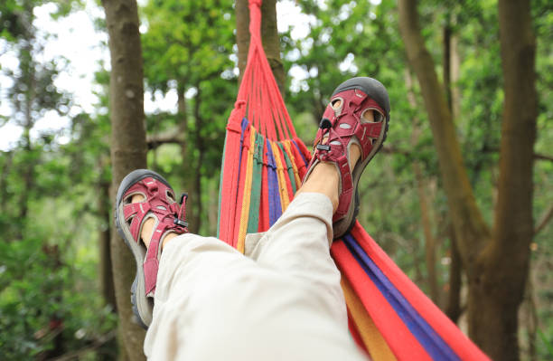 istock Relaxing in hammock in summer tropical rainforest 1167516080