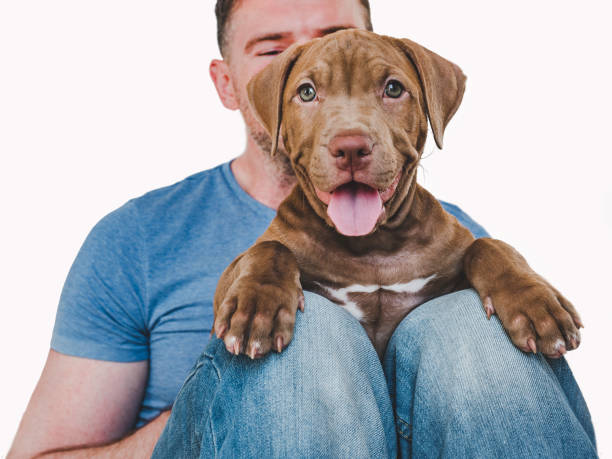 istock Handsome man and charming puppy. Studio photo 1167516888