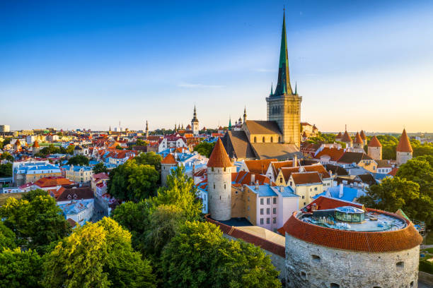 vista aérea del casco antiguo de tallin desde la gorda torre margaret al atardecer. estonia - roof tile vacations urban scene outdoors fotografías e imágenes de stock