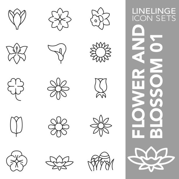 ilustraciones, imágenes clip art, dibujos animados e iconos de stock de conjunto de iconos de línea fina de flor y flor 01 - tulip sunflower single flower flower