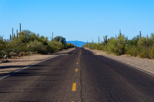 istock Highway through Saguaro National Park, Arizona 1167521380