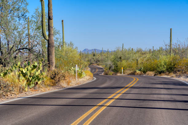 istock Highway through Saguaro National Park, Arizona 1167521642