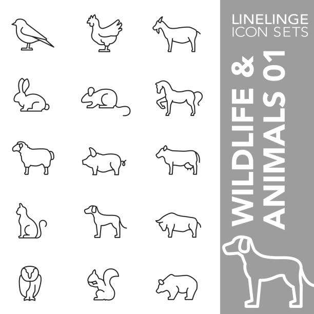 illustrations, cliparts, dessins animés et icônes de ensemble d'icône de ligne mince de faune et d'animaux 01 - souris animal