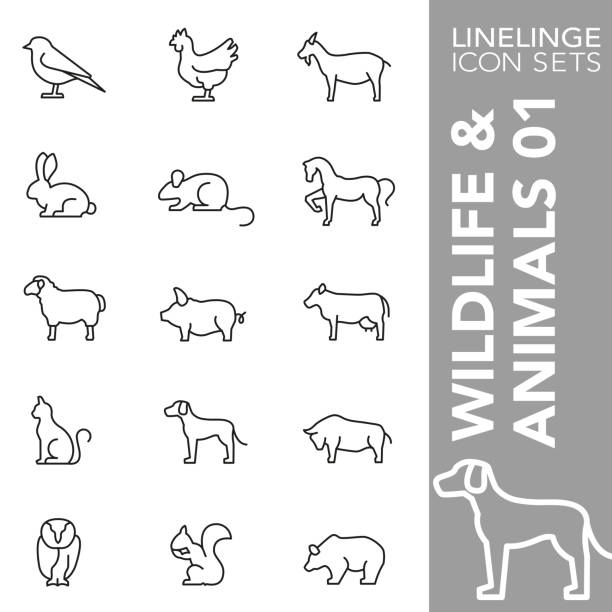 illustrazioni stock, clip art, cartoni animati e icone di tendenza di set di icone a linea sottile di wildlife and animals 01 - horse silhouette