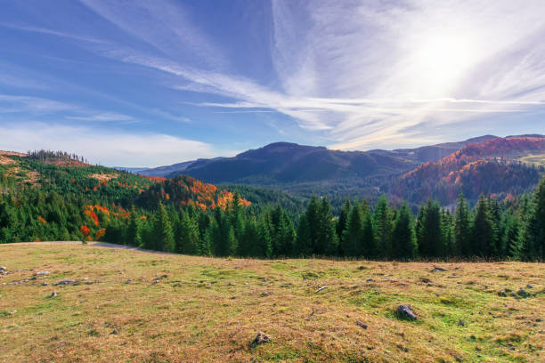 istock beautiful mountain landscape in the morning 1167526377