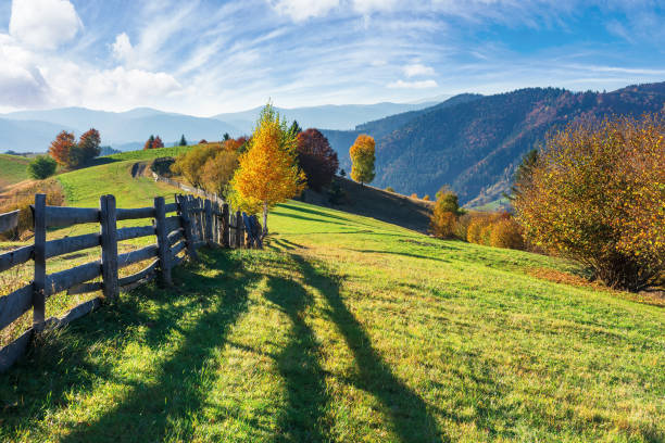 istock beautiful rural area in autumn 1167526624