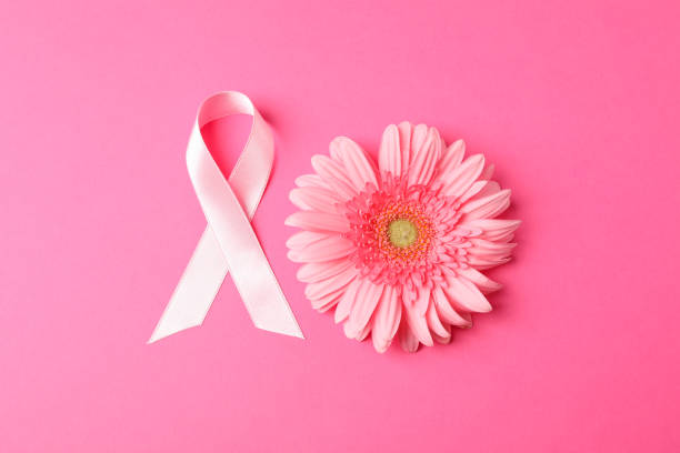 istock Pink awareness ribbon and gerbera on color background, space for text. 1167527458