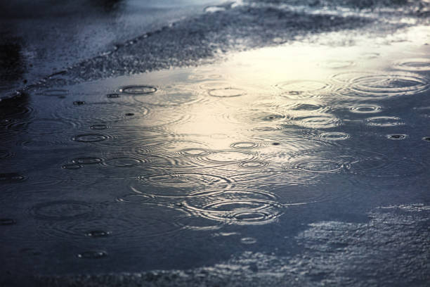 rain puddles on a pavement in the city