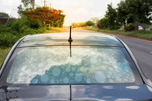 Photo of Non-standard auto-exposure glass filters cause bubbles to interfere with vision