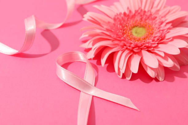 istock Pink awareness ribbon and gerbera on color background, space for text. 1167528924