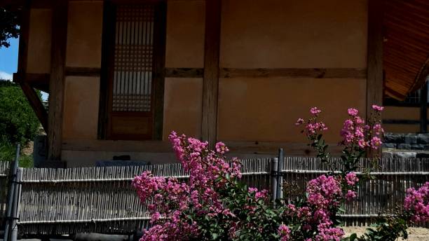 istock Flowers are beautiful wherever they are. 1167530007