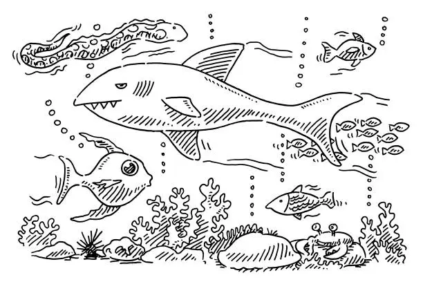 Vector illustration of Underwater Ocean Life Drawing