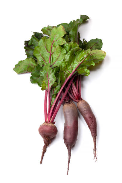 bunch of beetroots on white background - beet common beet isolated root vegetable imagens e fotografias de stock