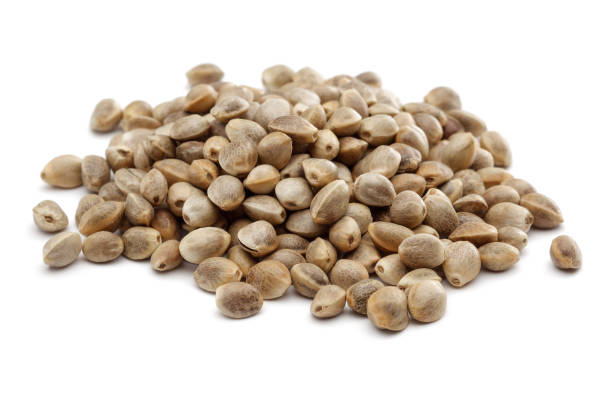 istock Heap of dry hemp seeds isolated on white 1167533278
