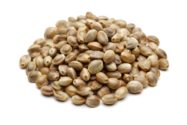 istock Heap of dry hemp seeds isolated on white 1167533525