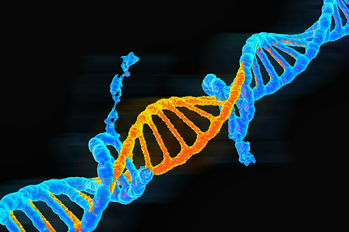 El doble soporte de ADN azul a naranja representaba la evolución o mutante, renderizado en 3D photo