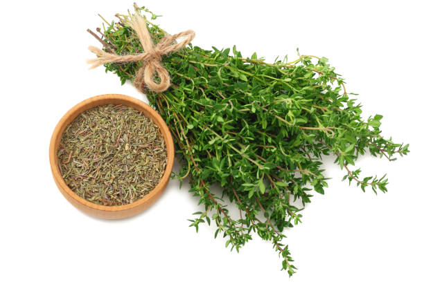 istock green thyme bunch isolated on white background. top view 1167534871