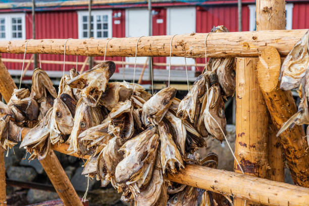 istock reine village, lofoten islands 1167535101