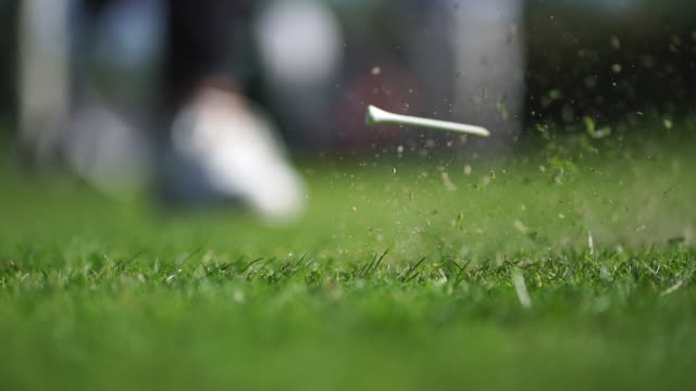Detail of golf tee on grassy terrain