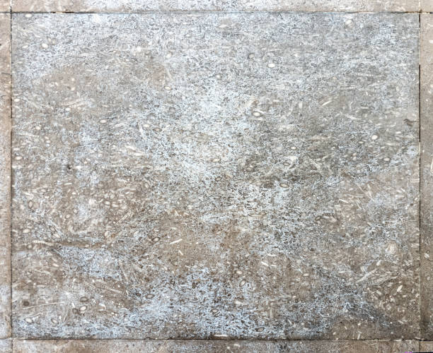 Texture of concrete wall for background - closeup stock photo