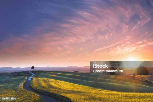 Sunset In Tuscany Italy Stock Photo - Download Image Now - Landscape - Scenery, Sunset, Footpath