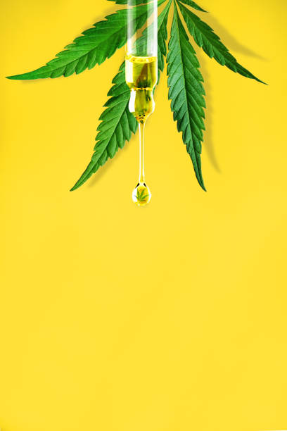 cannabisblatt und ein traber mit tropfen cbd oil nahaufnahme auf gelbem hintergrund. makro. minimales konzept - nature macro vertical close up stock-fotos und bilder