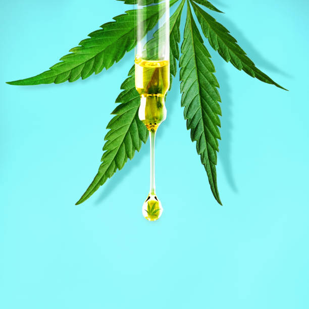 Cannabis leaf and a dropper with drop of CBD OIL close-up on blue background. Macro. Minimal concept Cannabis leaf and a dropper with drop of CBD OIL close-up on blue background. Macro. Minimal concept cbd oil photos stock pictures, royalty-free photos & images