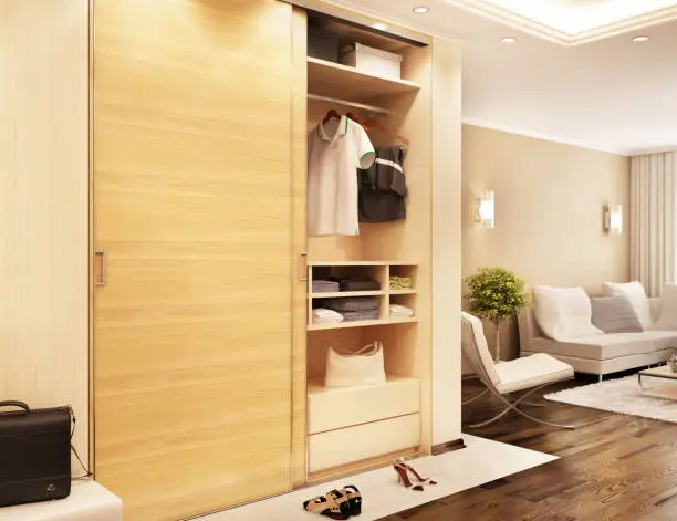 Photo of Modern closet in the hallway and view of the living room