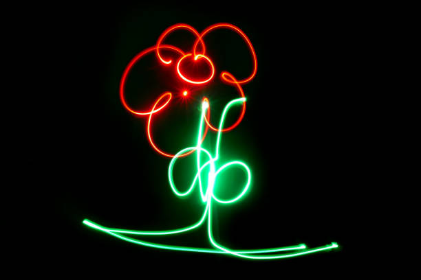 Flower made with LED green and red lights. Light painting with a black background. Made in the studio. Solitary flower