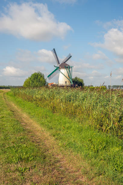 istock Flour Mill De Jager in Oud-Vossemeer 1167554760