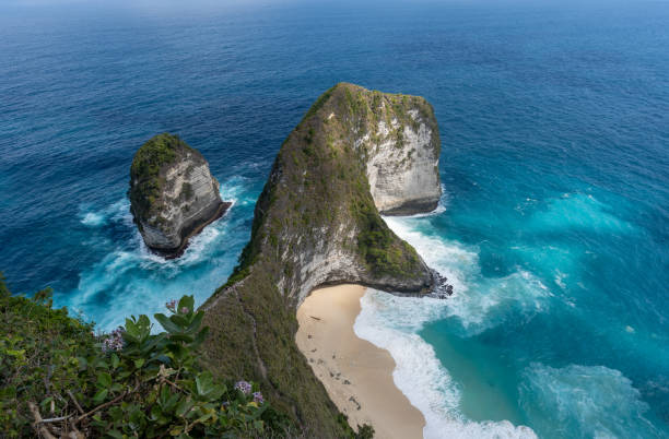 istock Kelingking Beach Nusa Penida 1167554800
