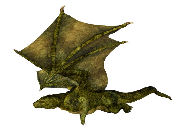 istock 3D illustration fantasy dragon on white 1167554913
