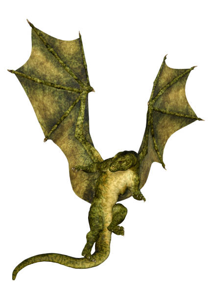 istock 3D illustration fantasy dragon on white 1167554918