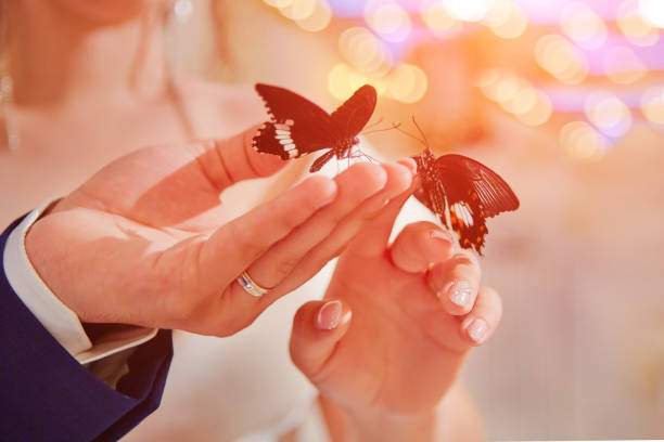 istock Newlyweds are holding live tropical butterflies 1167556310