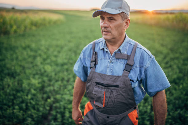 istock Farmer standing on farming land 1167557226