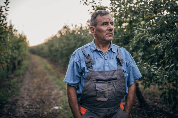 istock Portrait of a farmer in an apple orchard 1167557355