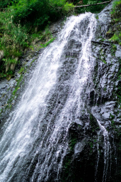 istock high waterfall in dark forest dark green plants around, logs below of waterfall 1167560262