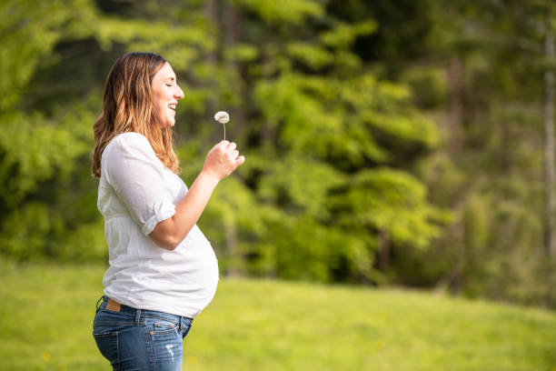 Pregnant woman blowing a dandelion. Concept: fertility