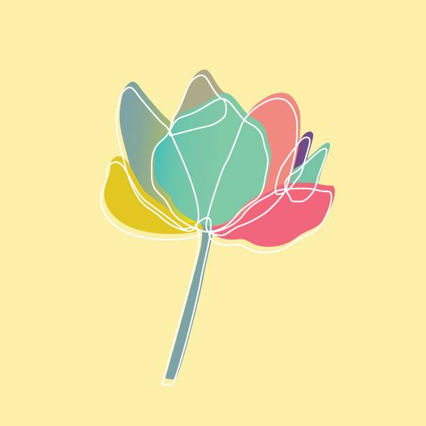 백합 꽃과 분홍색 배경에 사각형 프레임잎, - lotus stock illustrations