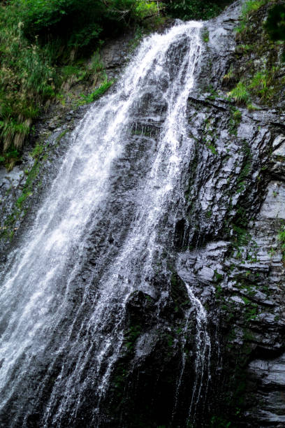 istock high waterfall in dark forest dark green plants around, logs below of waterfall 1167562526