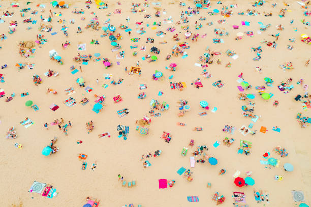 istock Aerial view of the beach 1167563718