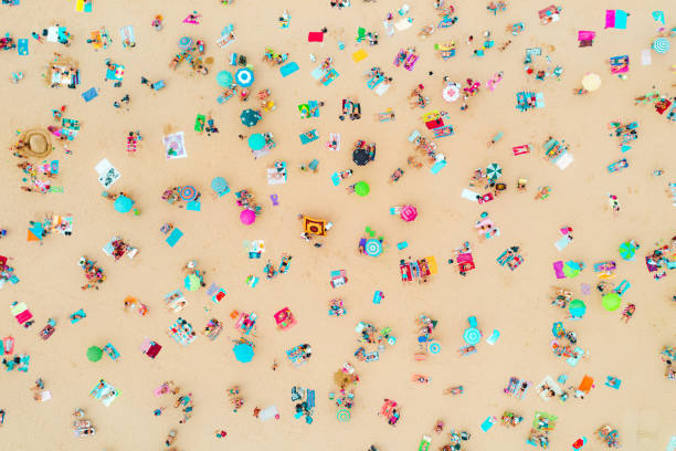 Aerial view of the beach