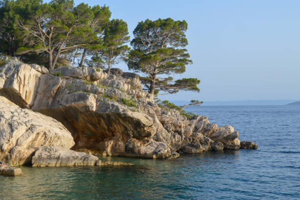 istock Walking near Punta Rata beach 1167566720